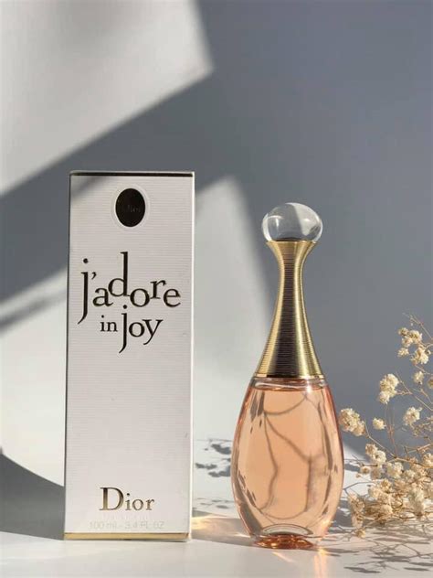 travel jadore dior|Dior jadore in joy.